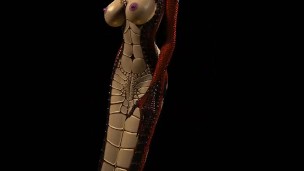 Sha'an Walk Cycle (Model V1)