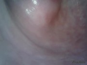 Filmed the vagina from the inside 10/16