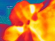 4-30 - 19 flir thermo long stroke cumming in car