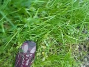 Trampling Flowers and Peeing All Over Them 12/16