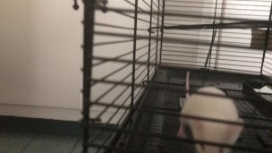 I offer my cute chunky fluff to the community
