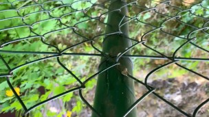 Risky public precum leaking , cumshot and letting cum outdoor