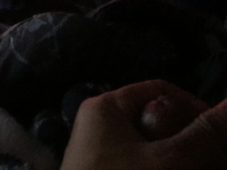 Fangirl Step Sister wanted to watch my porn, then let’s me watch her!