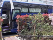 【無】カリビアンツアーズ パート1 3/16