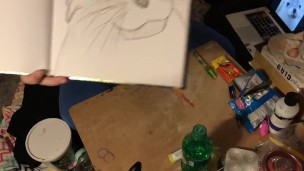 Boobs Ross — Sea Lion Speed Sketch