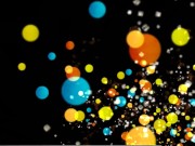 The Book Bitch -- The Odds of Loving Grover Cleveland Review [Mirror] 1/16