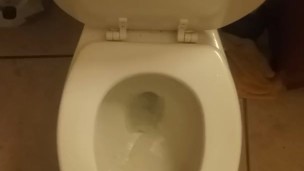 Uncut dick 1 minute piss