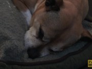 PASCALSSUBSLUTS - Hottie Jessica Jensen eats maledom cum 2/16