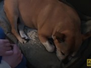 PASCALSSUBSLUTS - Hottie Jessica Jensen eats maledom cum 3/16