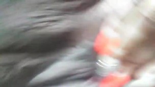 Fat pussy cat have that roar