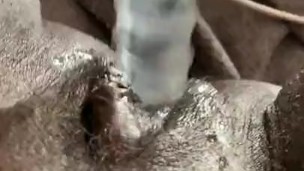 Super horny BBW Ebony Solo play