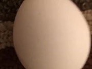 Pondering Life’s Questions 4/16