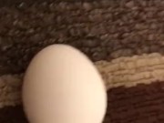 Pondering Life’s Questions 7/16