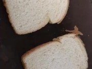 Two Breads - Screenshot 10 of 16 - Toast