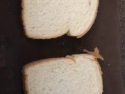 Two Breads - Screenshot 16 of 16 - HD