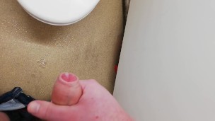 Danger wank in work toilet