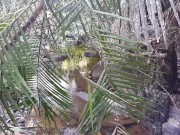 Noisy Orgasm in WILD JUNGLE river