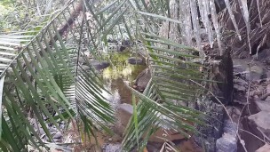 Noisy Orgasm in WILD JUNGLE river