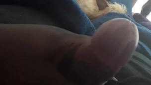 Morning Wood part 2