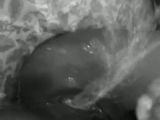 squirter 