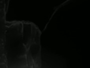 Mistress Kennya is Boss 16/16