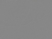 Pussy Eating Clit Licking Addict - Ghost Girl & CKing 4/16