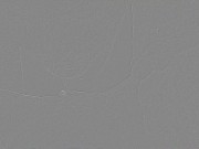 Pussy Eating Clit Licking Addict - Ghost Girl & CKing 5/16