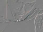 Pussy Eating Clit Licking Addict - Ghost Girl & CKing 6/16