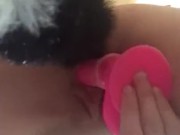 Furry Fun - Screenshot 12 of 16 - Tight