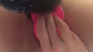 Furry Fun
