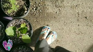 Foot Model Bella's Flip Flops Gardening Tour