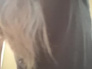 Getting that morning pee 16/16