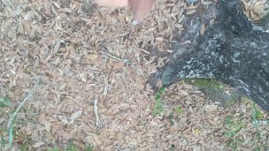 Trail Jerking