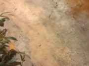 Soft cock stroking in a grow room. 