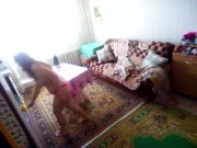stroking the curtains with a hot iron-MyNakedStepmother