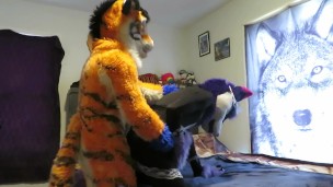 Servicing the Tiger Part Two