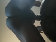 My neighbor just cant get enough (amazing doggy view) 6/16