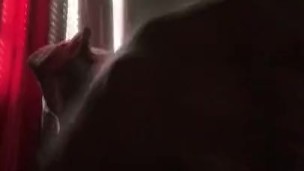 Played with myself (cumshot)