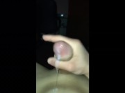 Spitting Cobra