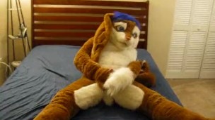 A Cabbit showing off and playing with himself