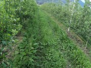 FIT BLONDE TEEN FUCKED OUTDOOR - PUSSY AND PANTIES FULL OF CUM 7/16