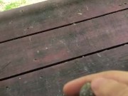 Almost Caught Throwing a Pebble!!! 4/16