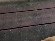 Almost Caught Throwing a Pebble!!! 9/16