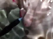Baby girl tries to see how many markers fit in her tight shaved pussy