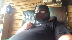 pup pipe clip