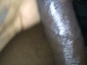 Catch da nut