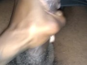 Catch da nut - Screenshot 9 of 16 - HD