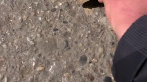 Helping out  bugs get back on their feet