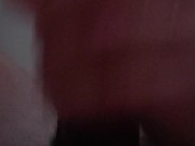 Evening Nut