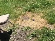 Backyard fun with itslilmissthing - Screenshot 2 of 16 - Wet Pussy